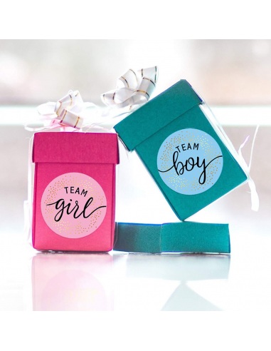 Sticker Team Girl, Gender reveal, 12 buc