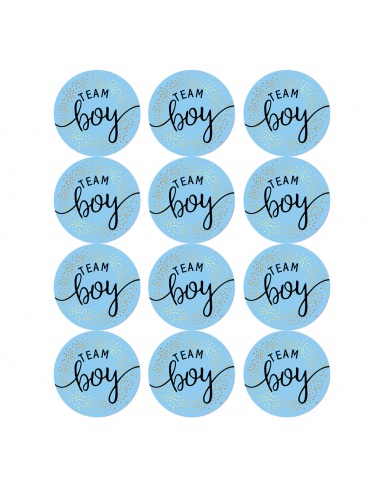 Sticker Team boy, Gender reveal, 12 buc