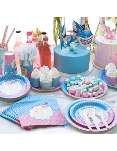 set vesela pentru petrecerea gender reveal 2